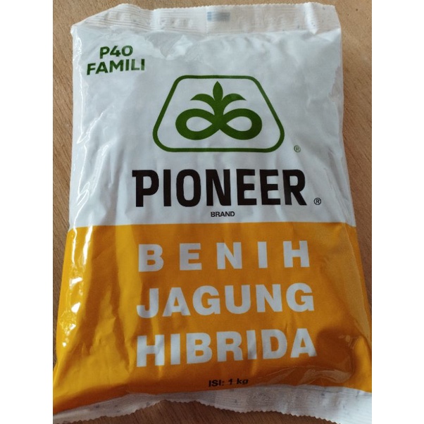 Benih Jagung Pioneer P40 Famili - 1kg