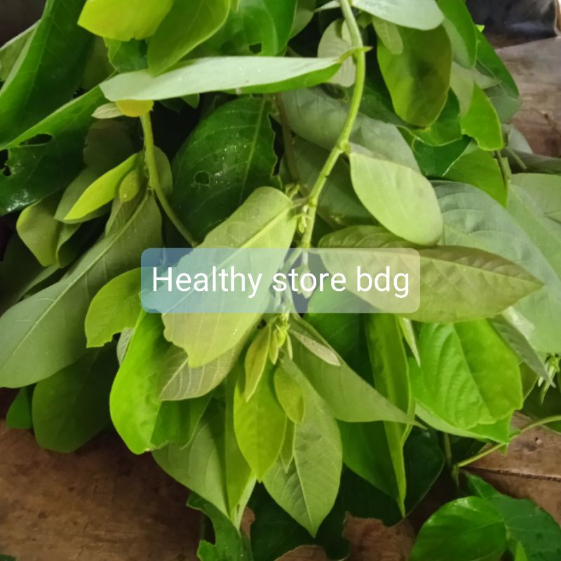 

Paket 250 gram Daun kandri segar atau daun Kanyere