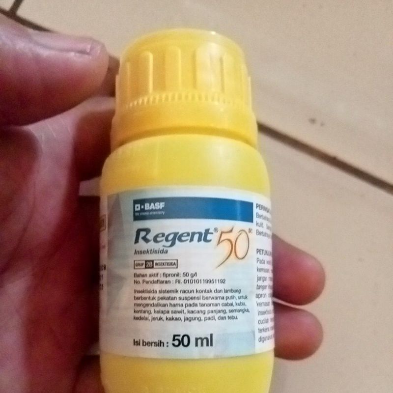 regent