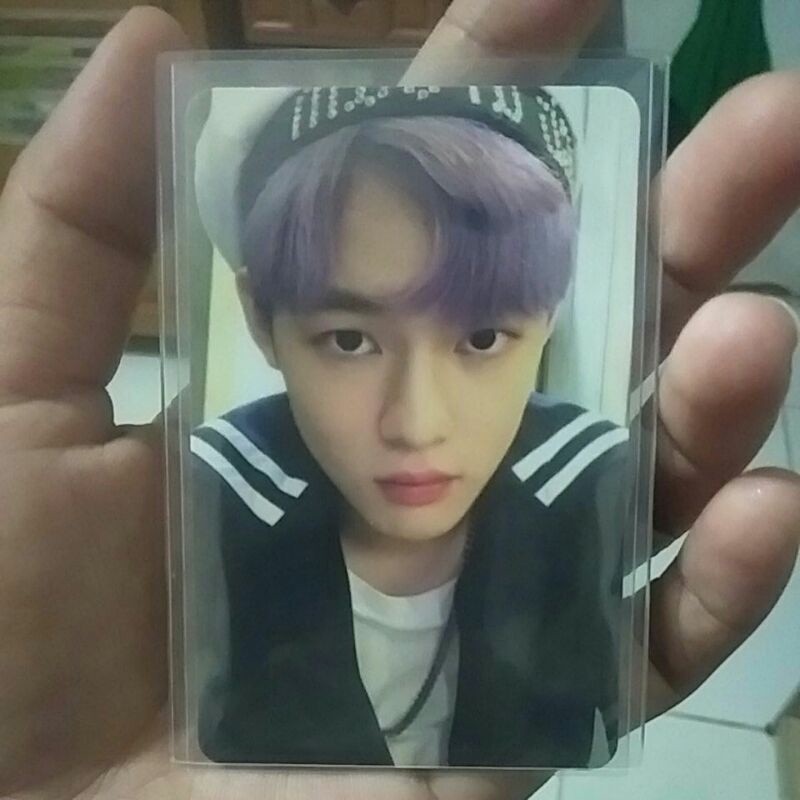 Chenle We Young ( Chenle Terong )