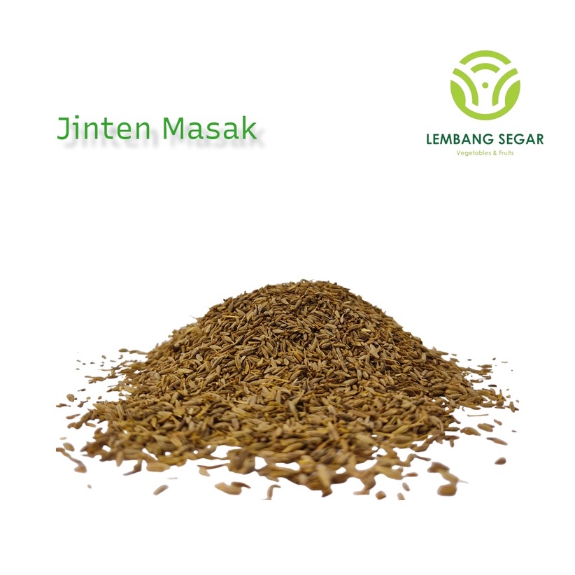 

Jinten Masak / Jintan Masak / Cumin Lembang Segar