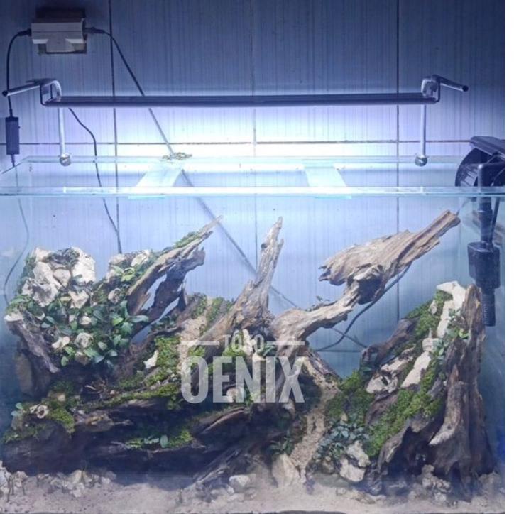 ㊮ stand tiang lampu aquascape untuk aquarium BERSABUK ⇉