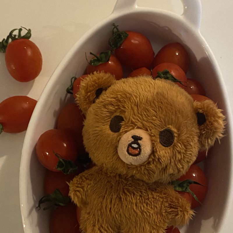 

‼️‼️BACA DESC‼️‼️