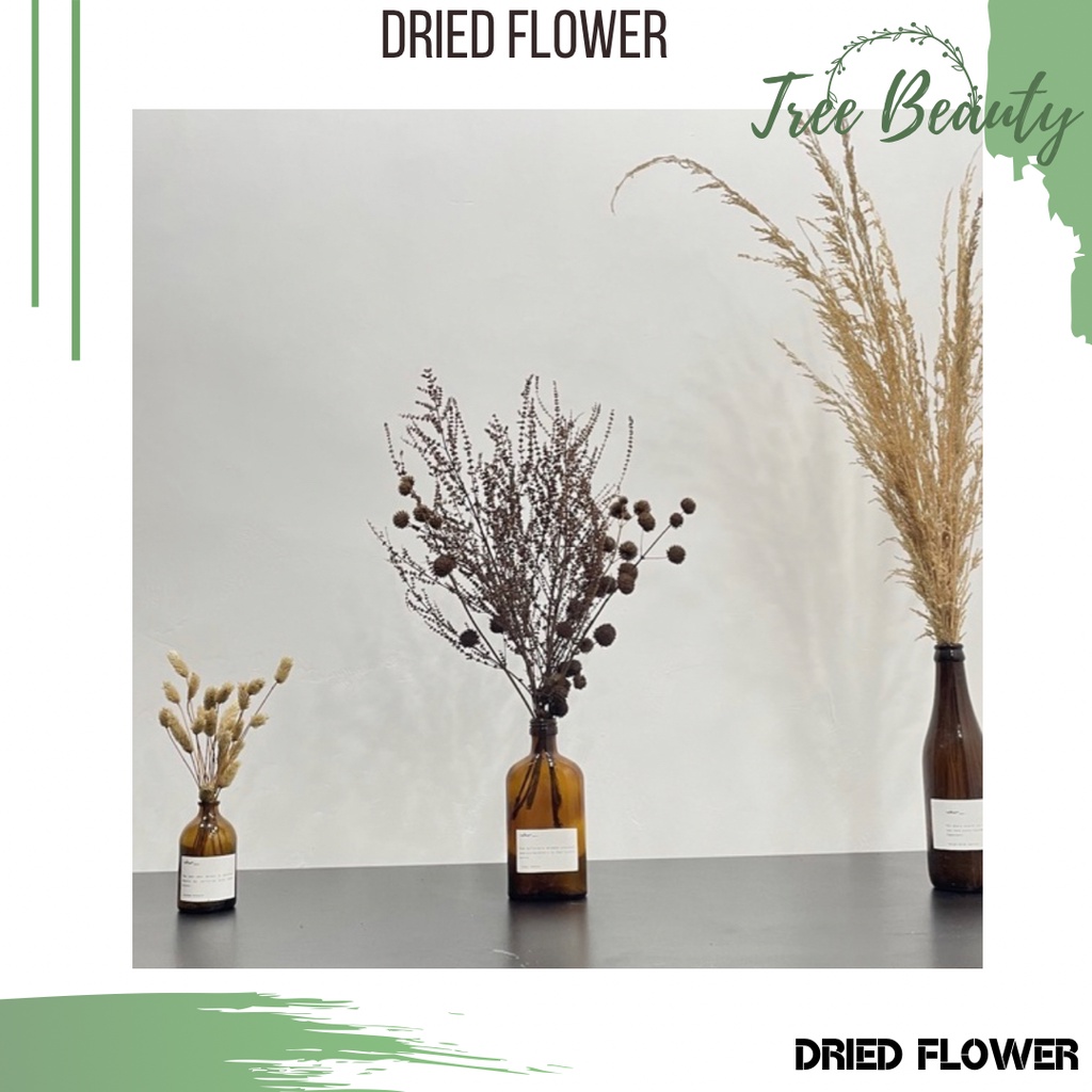 Dried Flower Wildery Grass / Bunga Kering / Dried Flower / Ambring