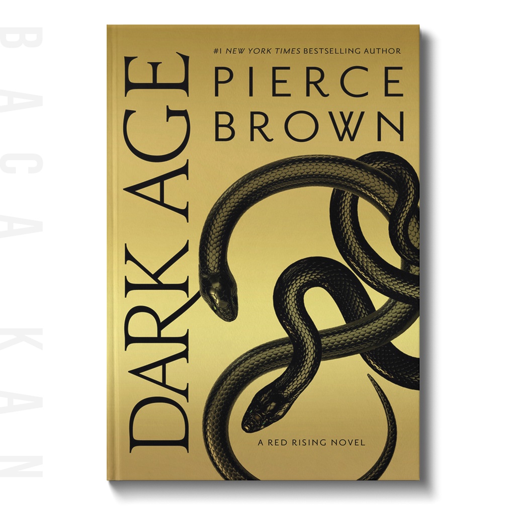 

Dark Age - Pierce Brown