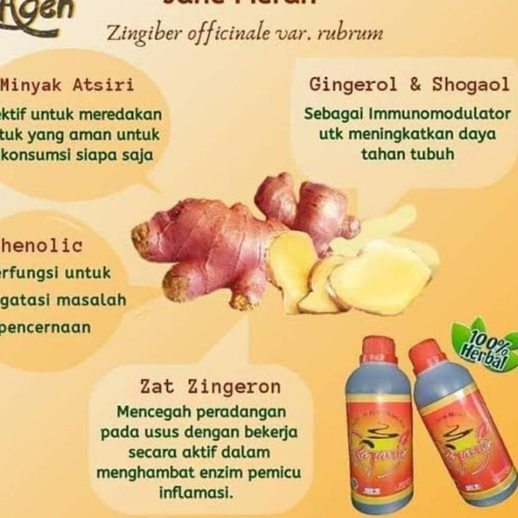 

Recomend RAJANIE Jahe Merah ✔