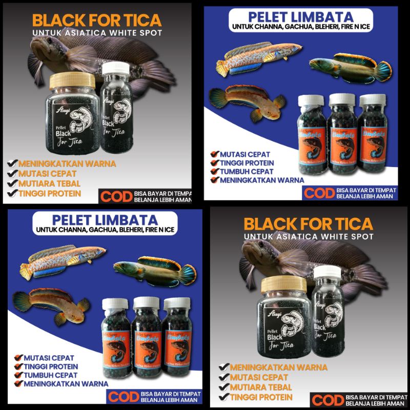 Pellet Channa Black For Tica Asiatica WS Pure Pelet Asagi Black Asiatika White Spot Pakan Chana Pele