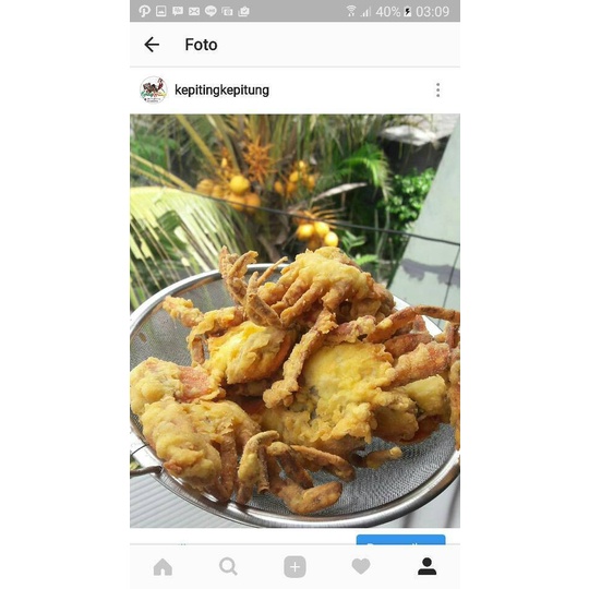 

Tokopratiwiw - Kepiting Soka Telur Asin