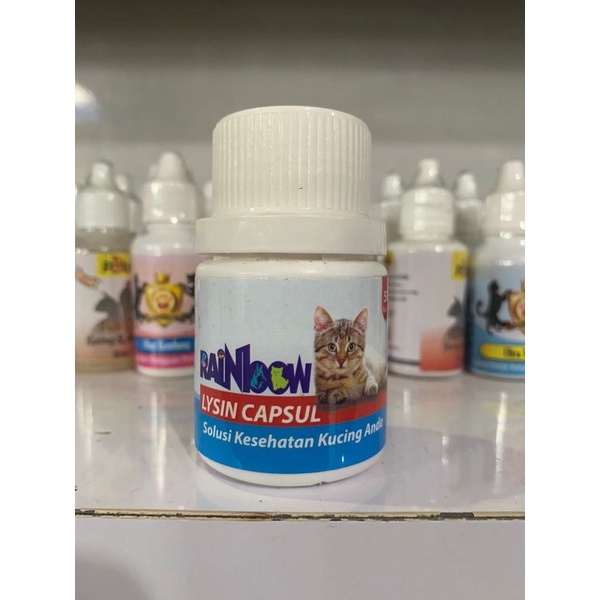 Mucolysine/Rainbow Lysin Capsul Solusi Kesehatan Kucing - Obat Flu Dan Penambah Nafsu Makan Kucing
