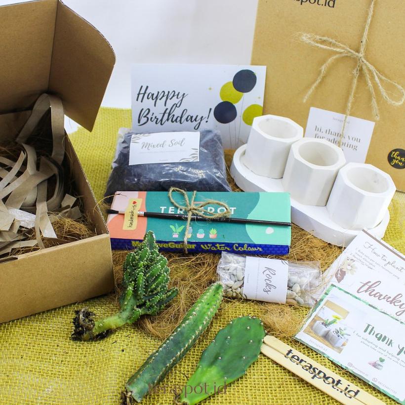 

Sekarang Keren Painting kit & Planting Kit Kaktus Sukulen DIY Mewarnai Pot untuk Hampers / Hadiah / Souvenir /kado