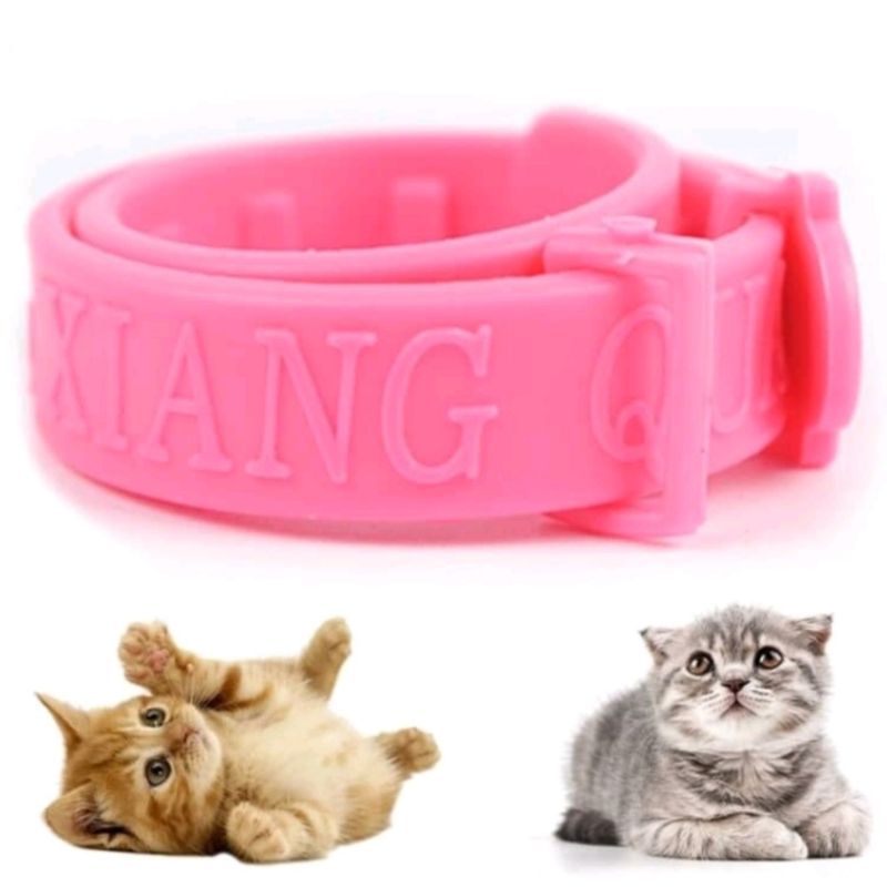 Kalung Anti Kutu Kucing Kelinci Hewan Cat Flea Circle