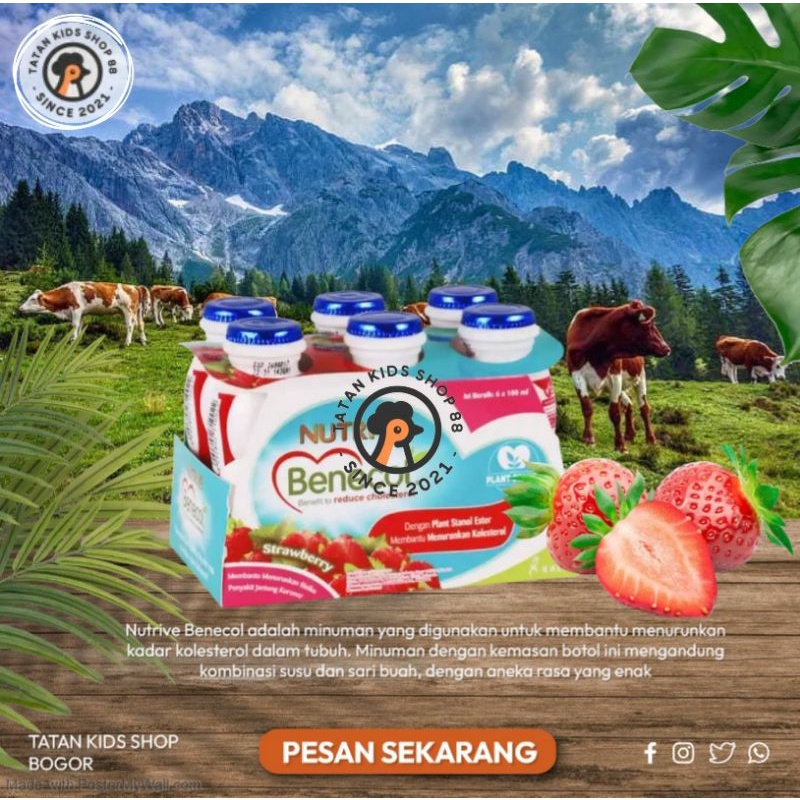 

Nutrive Benecol Kolesterol 6 Botol 100ml Strawberry Suplemen Diet Detox Untuk Kesehatan