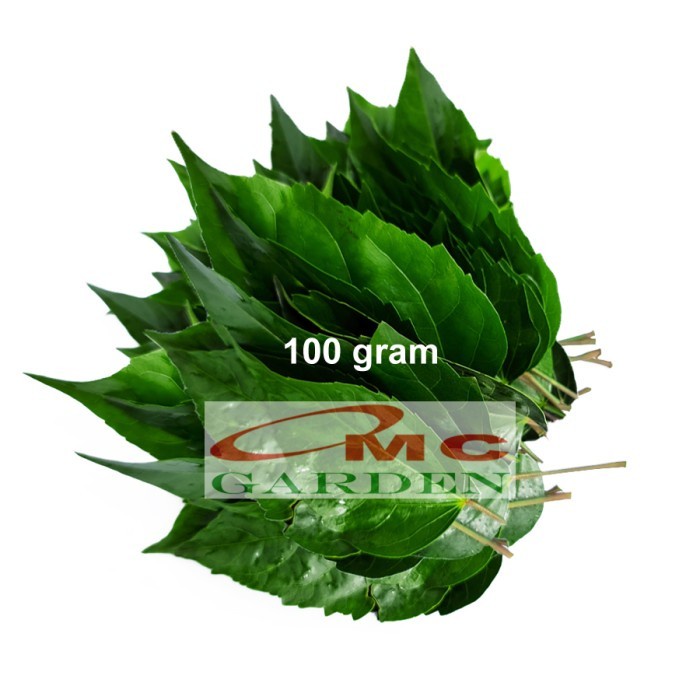 Daun Kembang Sepatu Bunga Tanaman Obat Herbal Organik Segar 100 g