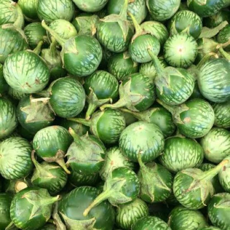 

TERONG LALAP/TERONG BULAT 1000gr