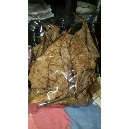 

daun Katapang kering