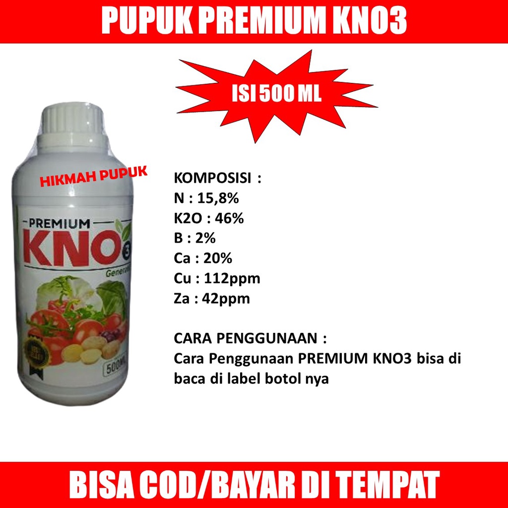 RB PUPUK PEMBESAR BUAH PADI Pupuk Pelebat Padi dan Booster Perangsang Padi di Sawah Supaya Cepat