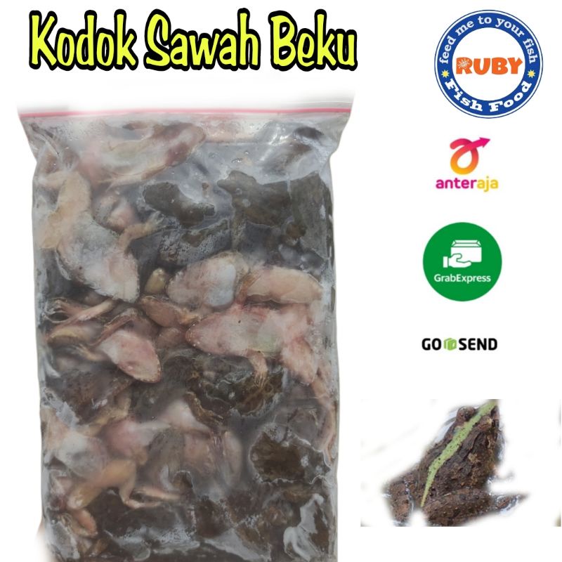 KODOK BEKU / KATAK BEKU / KODOK SAWAH BEKU 500GRAM