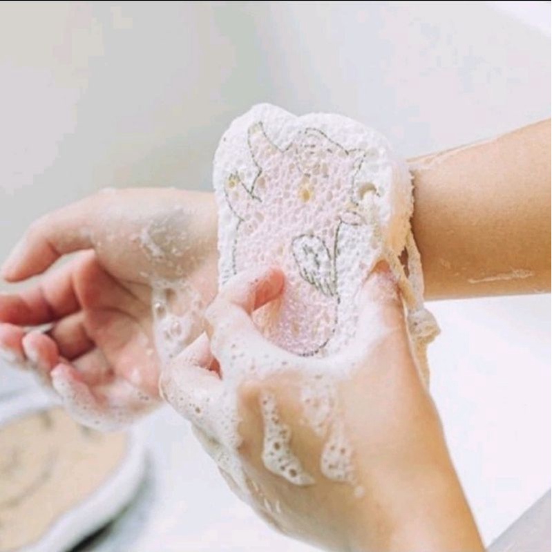 Spon Magic/ Spon Ajaib Anti Bakteri/ Sponge Serbaguna