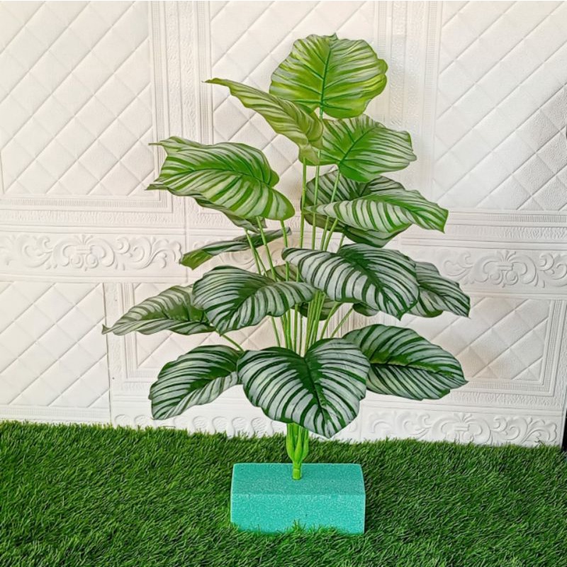 tanaman hias plastik keladi artificial