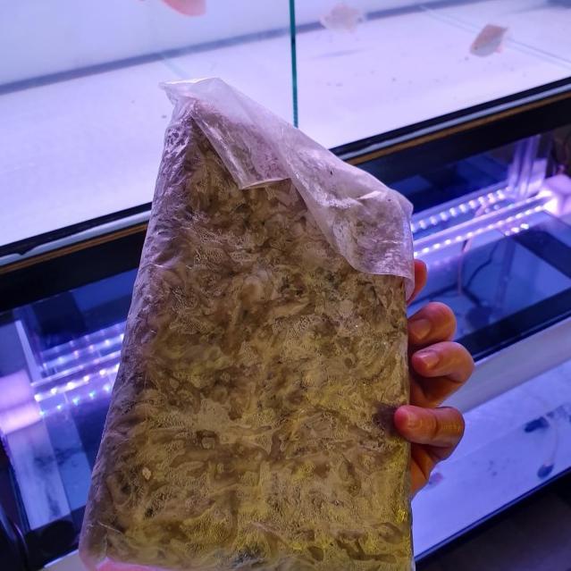 udang fresh beku, pakan ikan