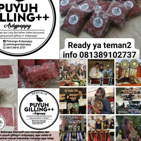 CAT RAW FOOD PUYUH GILING