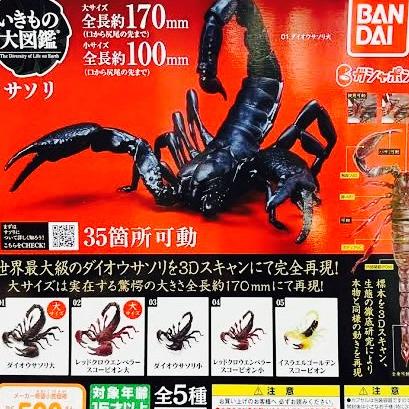 Gashapon scorpion ikimono - dangomushi kalajengking bandai gacha