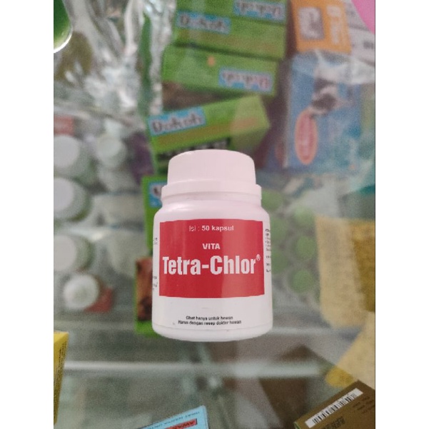 Tetra Chlor 50 kapsul Obat Ayam Unggas Snot Ngorok Berak Ayam