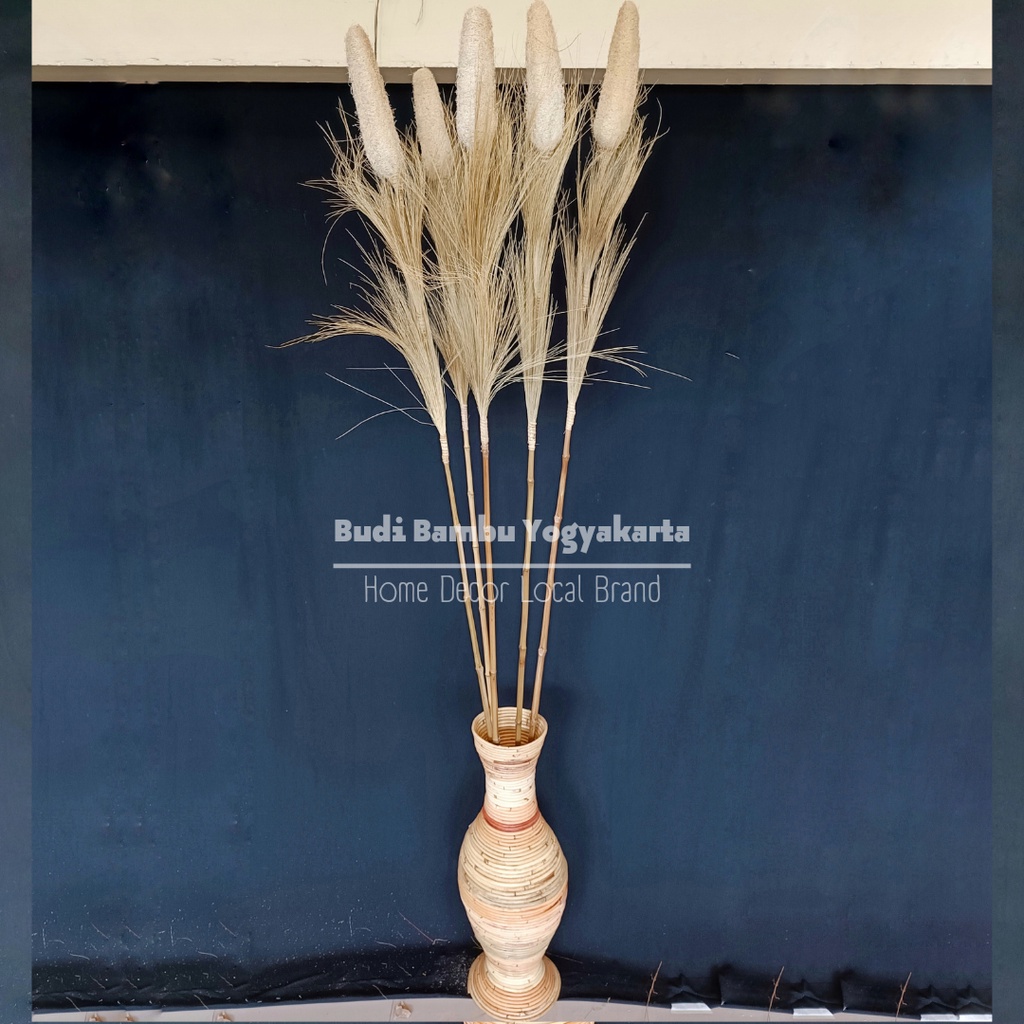 STICK GAMBAS RAYUNG BULU NATURAL DEKORASI RUMAH RAYUNG STICK GAMBAS MURAH