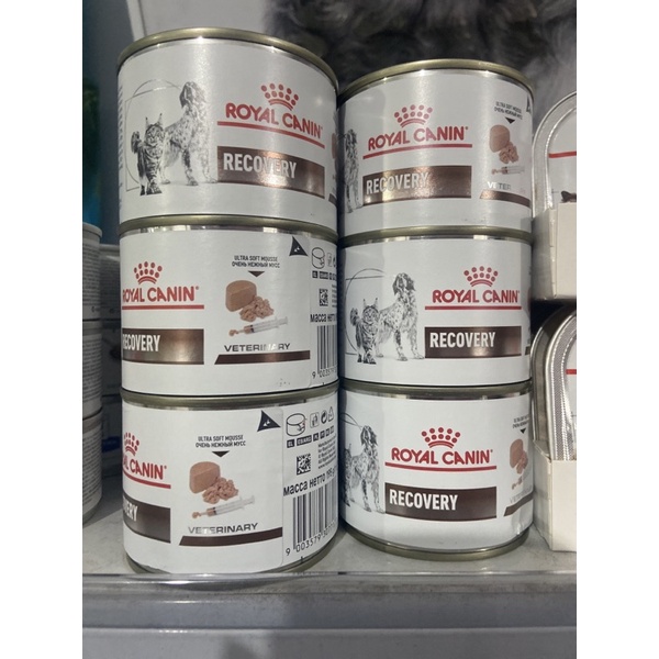 recovery royal canin
