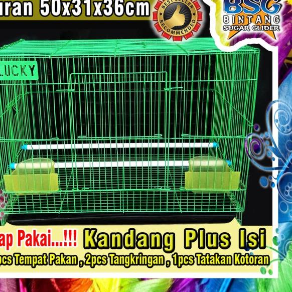 Kandang Burung, Sugar Glider, Kelinci, Hamster, Ternak, Umbaran - Besi - Putih