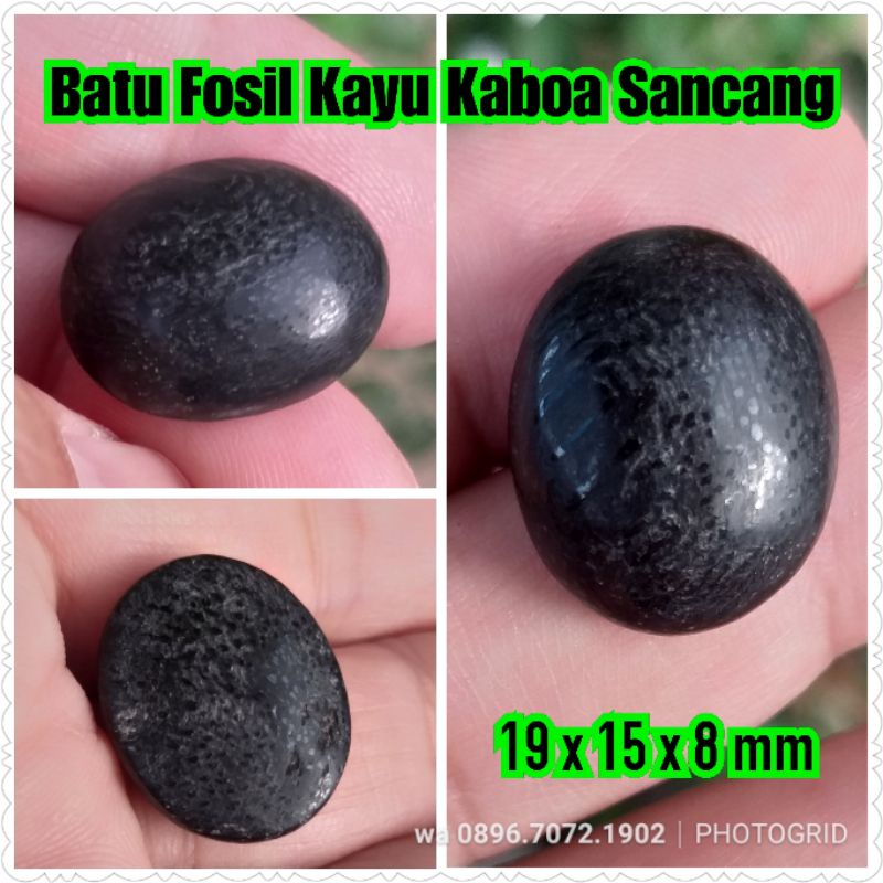 batu fosil kayu kaboa sancang asli kode 4 no bacan kalimaya pirus persia rubi zamrut giok batu bulu 