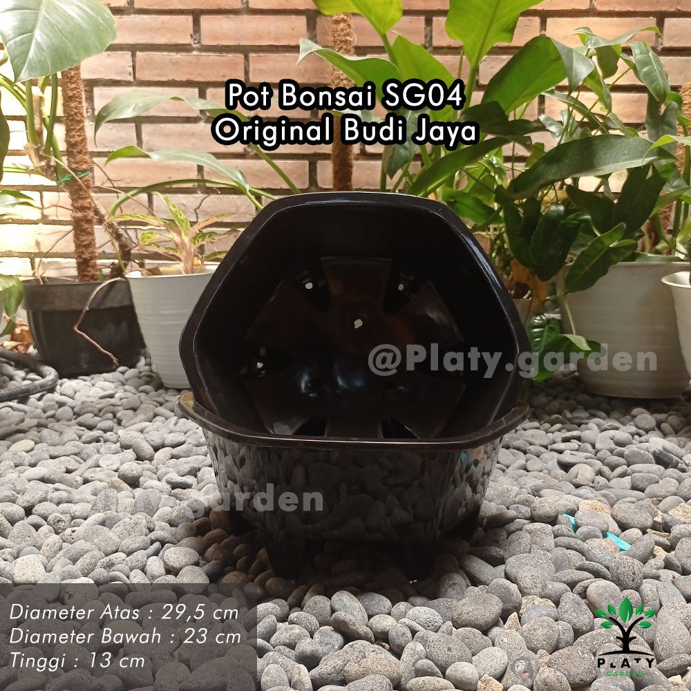 Pot Bonsai SG-04 Budi Jaya | Pot Bonsai Ceper | Pot Tanaman Bonsai