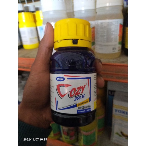 INSEKTISIDA Penggerek daun COZY 250 EC. bahan aktif: klorfenapir 250 g/l
