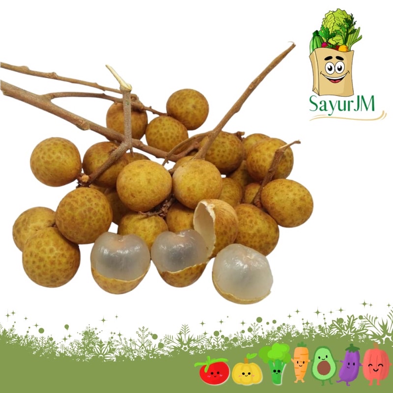 

SayurJM - Buah Lengkeng Segar 500gr / Buah Segar