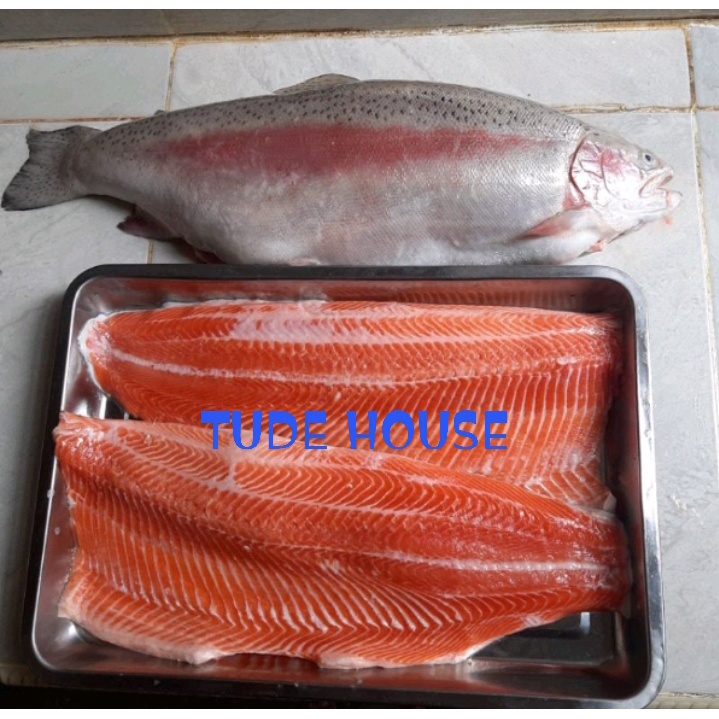 

Salmon Fillet Trout Premium (Grade Sashimi)