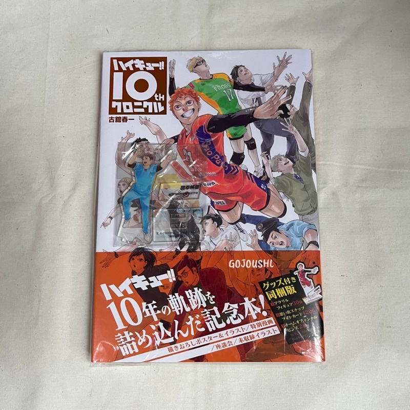 Haikyuu 10th Chronicle Book Buku Acrylic Standee Hirugami Sachiro