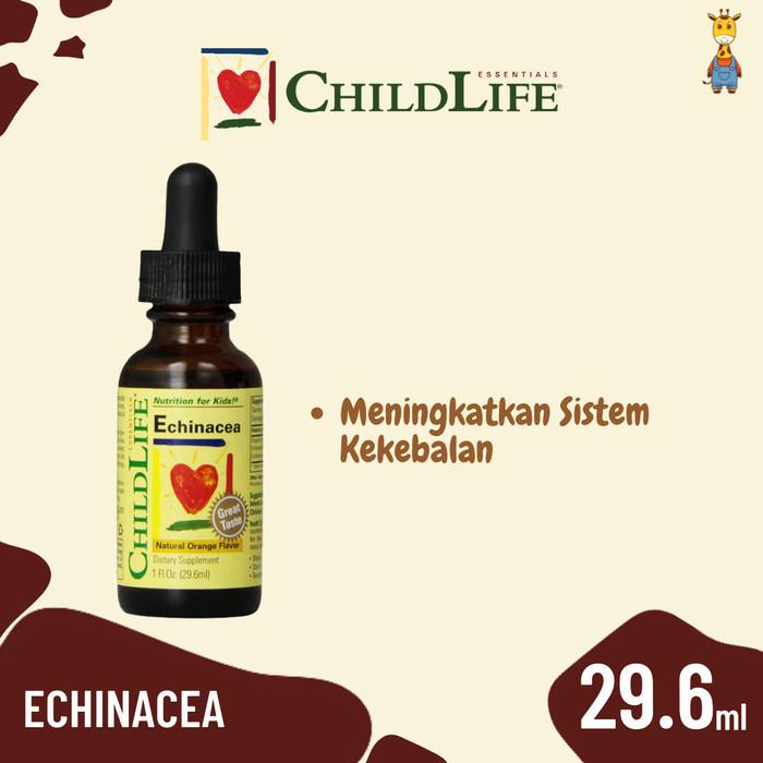 Childlife Echinacea