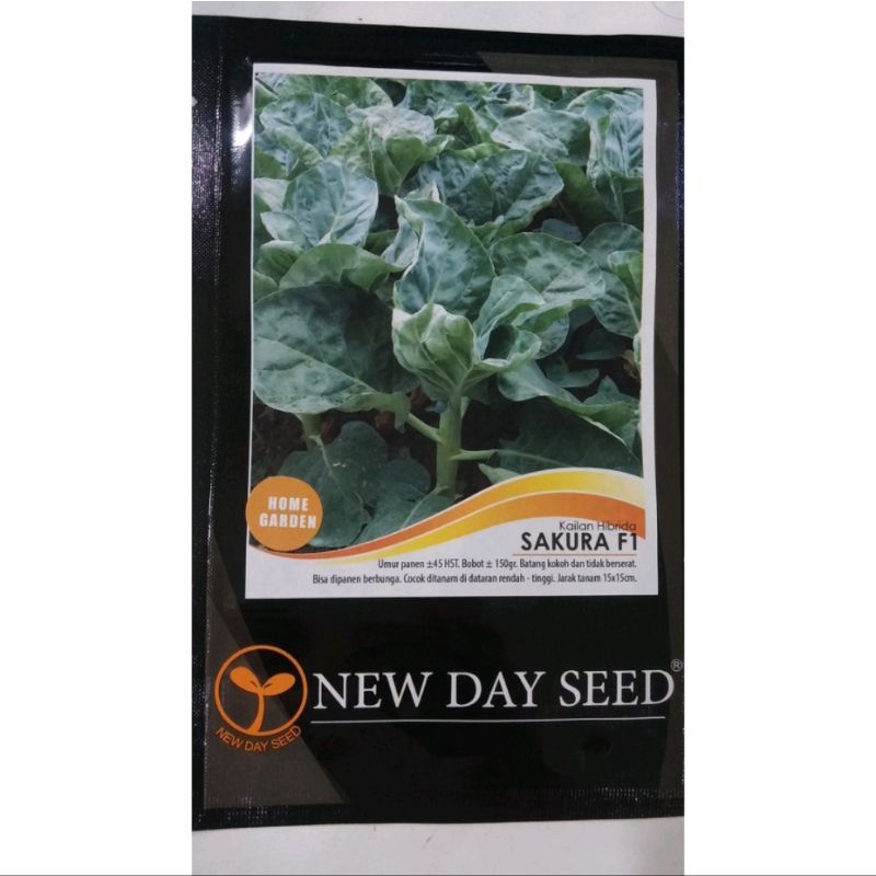 Benih Bibit Kailan Sakura F1 New Day Seed Kemasan Pabrik