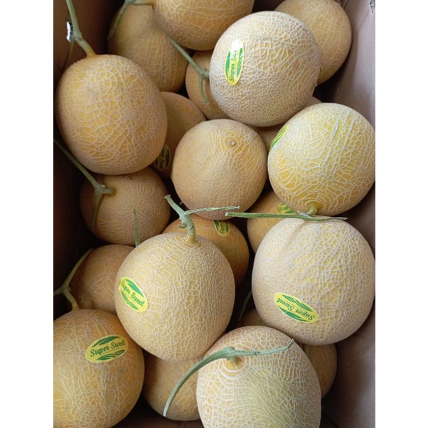 

melon sweet grenigal per buah