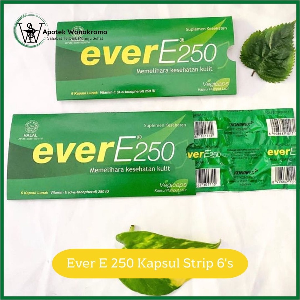 Ever E 250mg IU Kapsul 6's