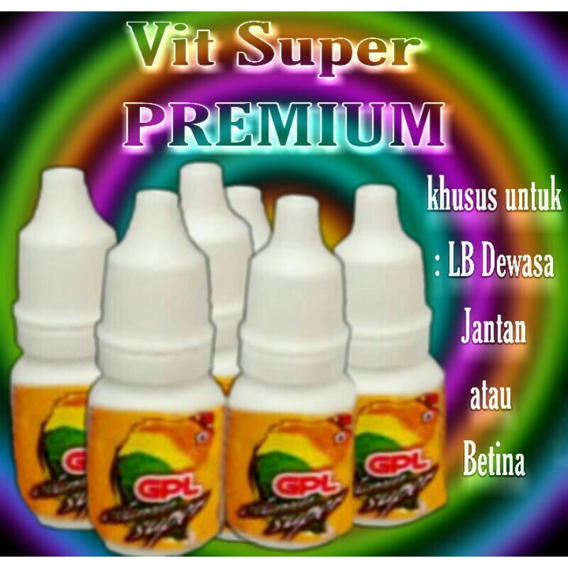 vit Balibu,Paud, Lovebird Bebby 