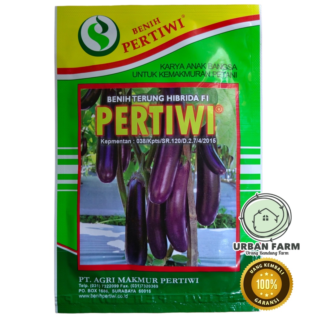 Benih Terong PERTIWI F1 10gram - Terong Ungu Terung Ungu Benih Terong Hibrida
