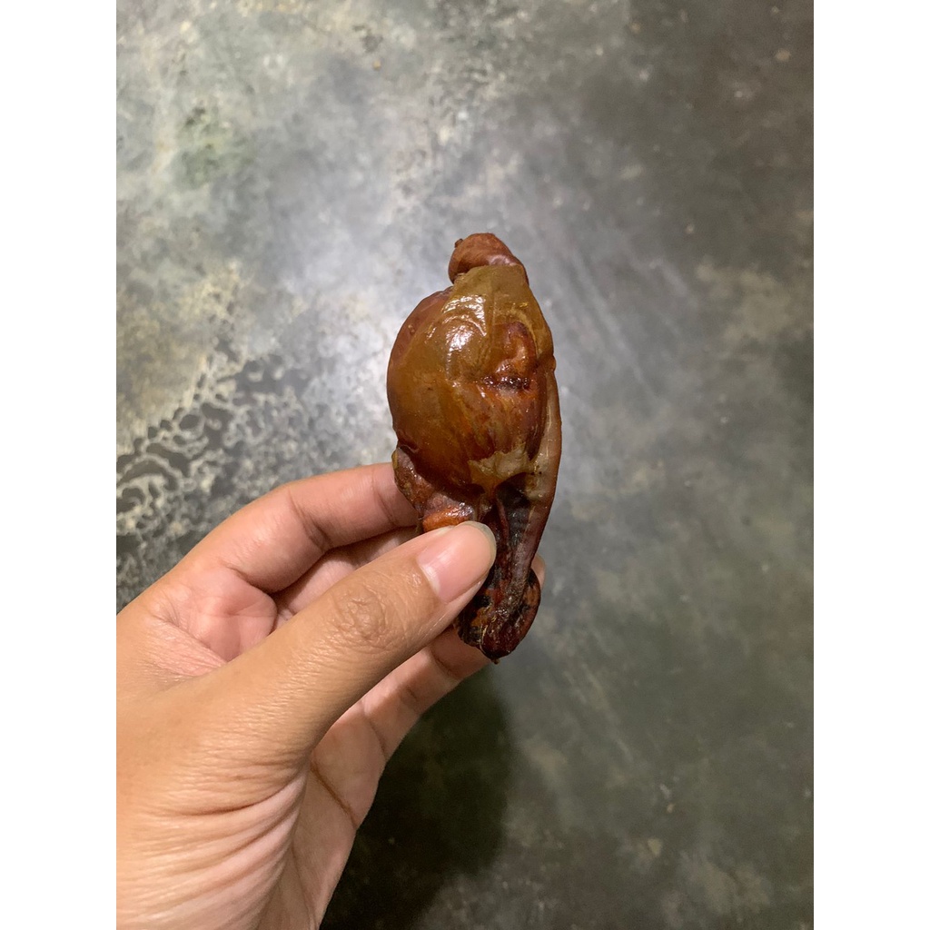 DAWG Goat Testicle Torpedo Kambing Jantan Dog Snack Camilan Anjing Jerky