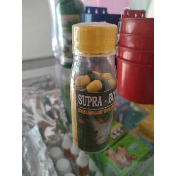 Supra Bone Obat Lumpuh Memperkuat Tulang Sakit Sendi Keram Sapi Kambing Domba