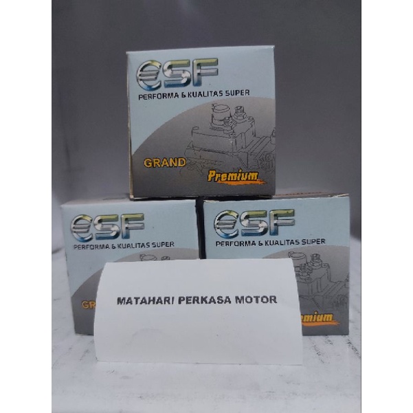 Bendik Stater Grand/Supra/Supra fit new ESF