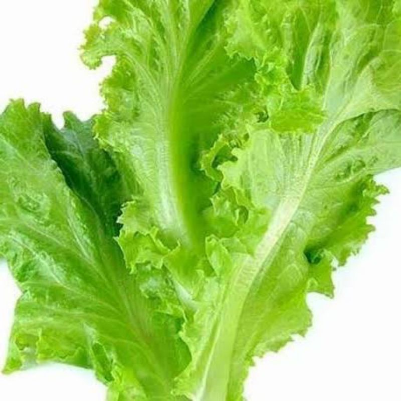 

Selada
