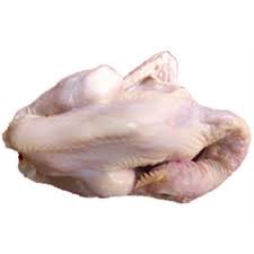 

AYAM SOTOAN 1 ekor UTUH