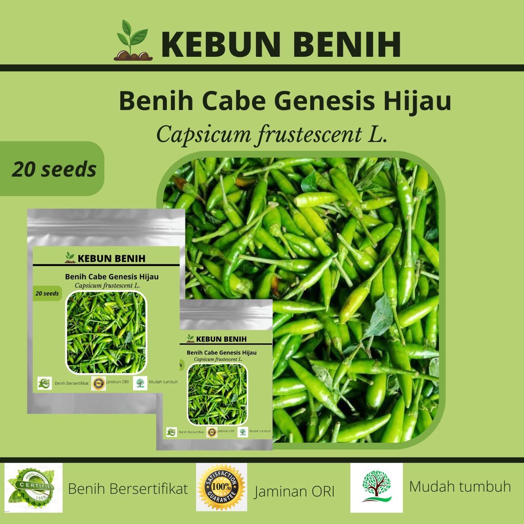 Benih Tanaman Cabai Rawit Genesis Hijau/ Cabe Rawit Genesis Hijau  Kualitas Unggul 20 Seeds