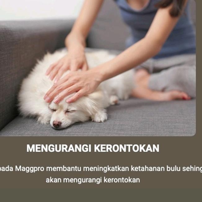 Protein Anjing MAGGPRO #supplemenanjing