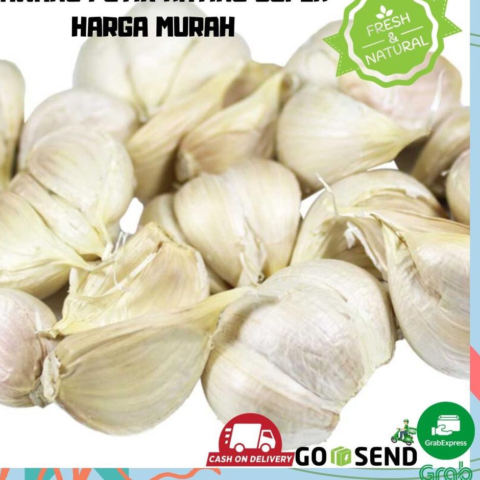 

❄ BAWANG PUTIH KATING 1 KG SAYURAN SEGAR EMPON EMPON BUMBU DAPUR ㅊ